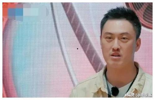 娱乐圈恋情吃瓜爆料