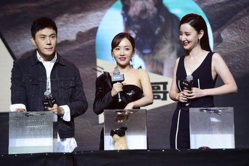 我在娱乐圈靠吃瓜爆红了