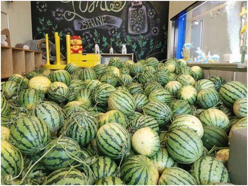 娱乐718吃瓜速看天气,吃瓜速看，天气与娱乐圈的奇妙碰撞