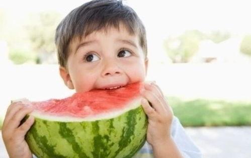 娱乐吃瓜君吐槽二豆