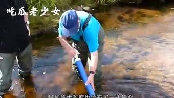 娱乐吃瓜老少女,老少皆宜的吃瓜盛宴，揭秘明星幕后故事